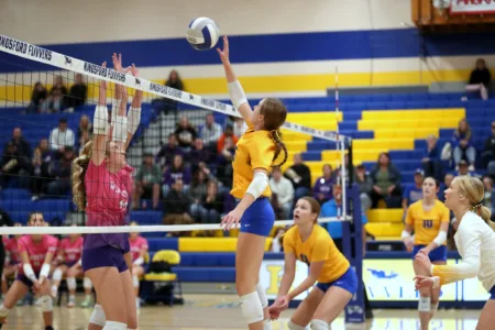 Flivvers ready for VB postseason